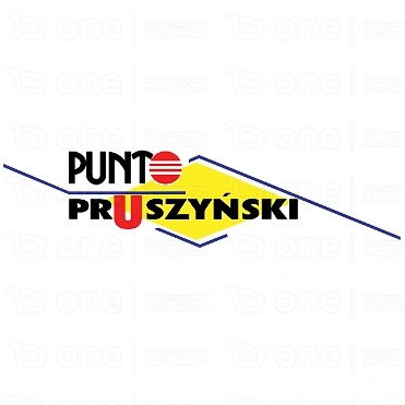 Tawerszyna stalowa Punto Pruszyński T/U RAL7016 4 mb